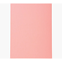 Paquet 100 Chemises Cartonnées Exacompta Forever 170 Grs Rose 420003E